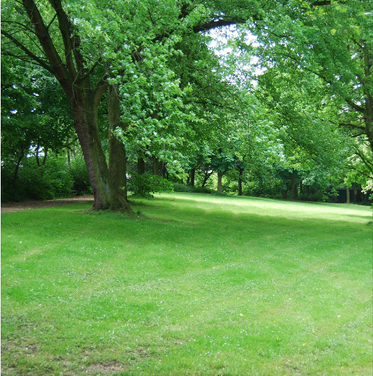 Victoria Park Isn’t Just a Park – It’s a Reset Button