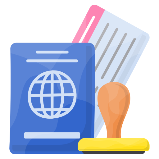 Visa Preparation icon